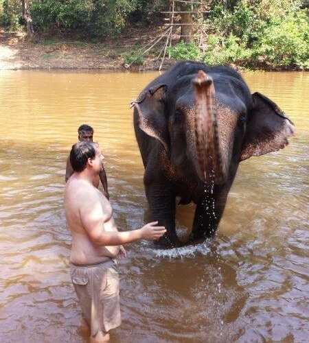 elephants in Goa