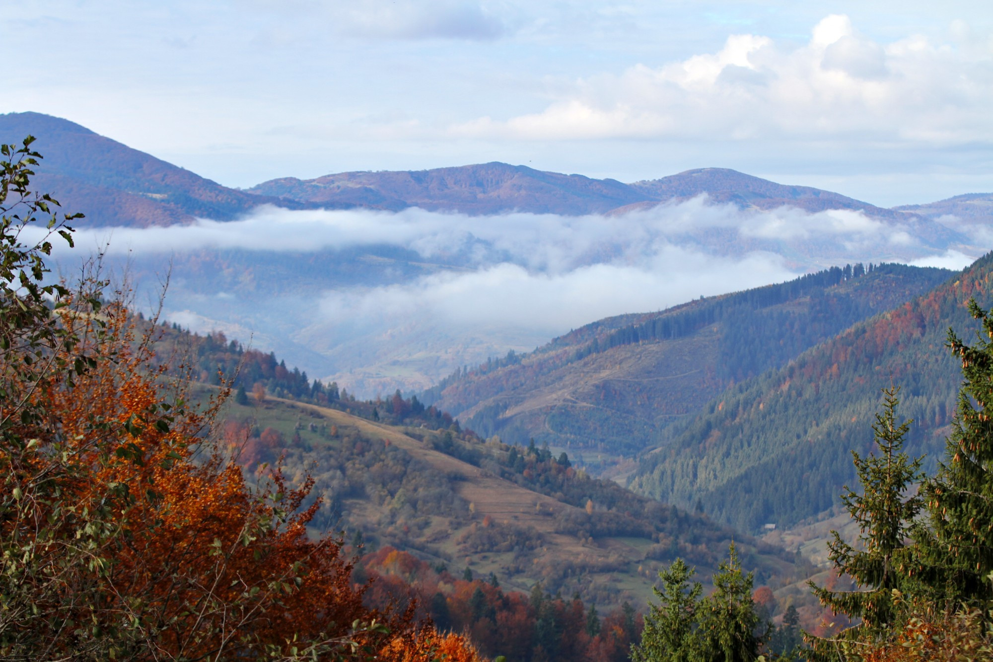 Карпаты, Украина