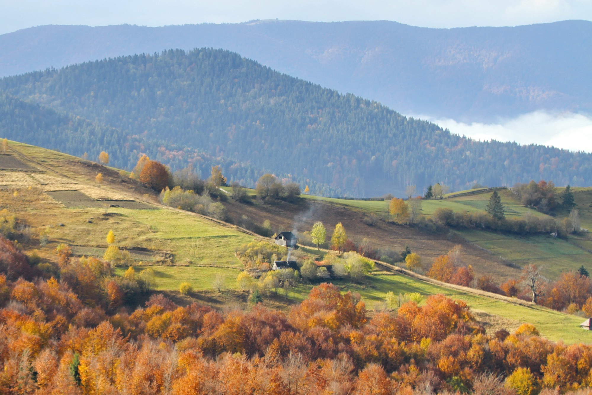 Carpathian Mountains, Ukraine