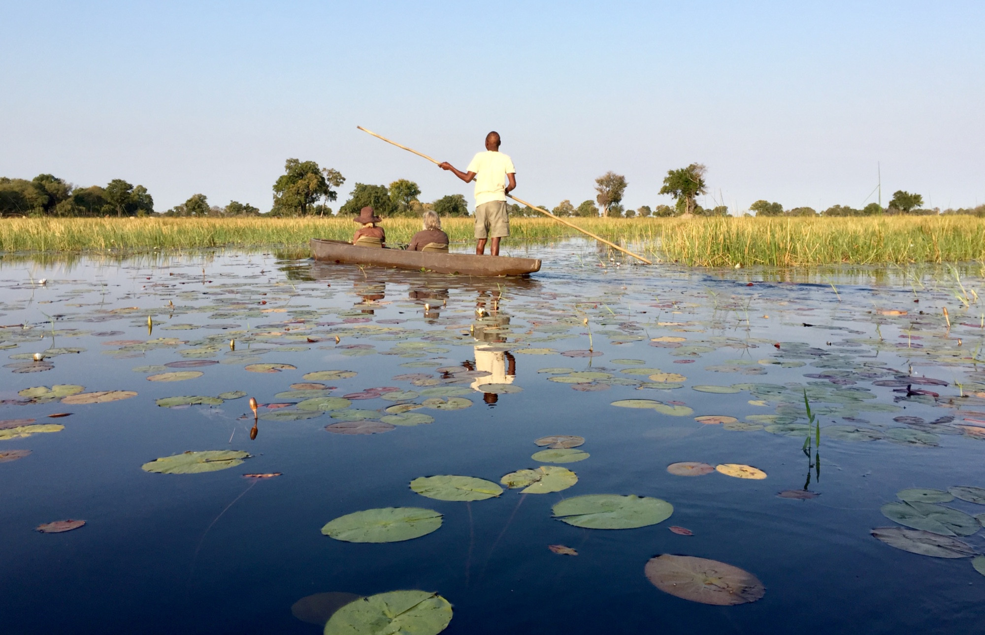 Mokoro on the Okavango 