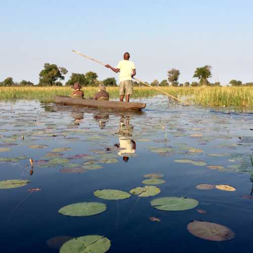 Mokoro on the Okavango 