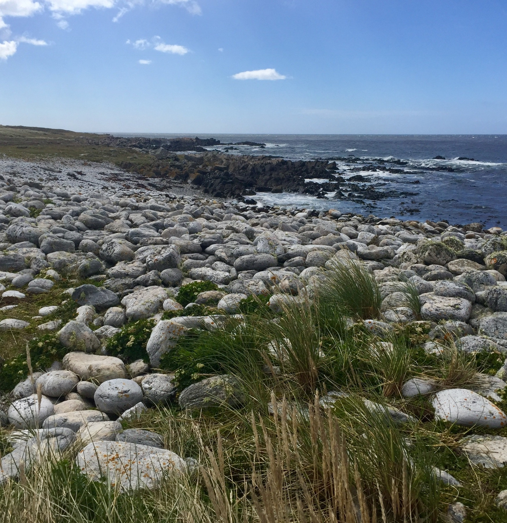 Falkland Islands