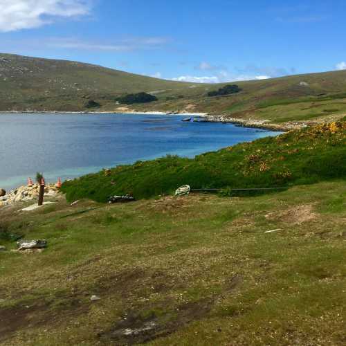West Falkland island 