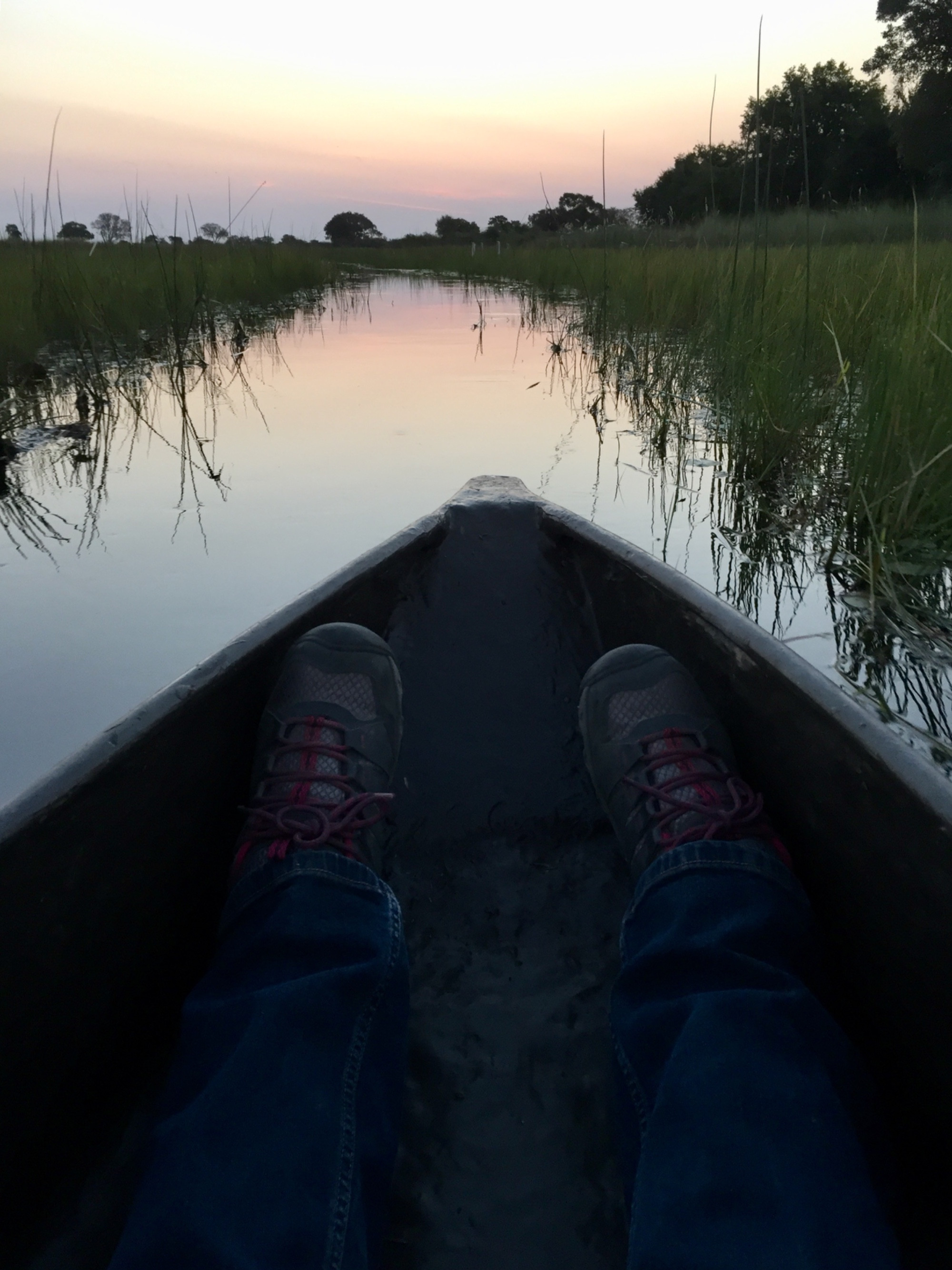 On a mokoro in the Okavango delta. 