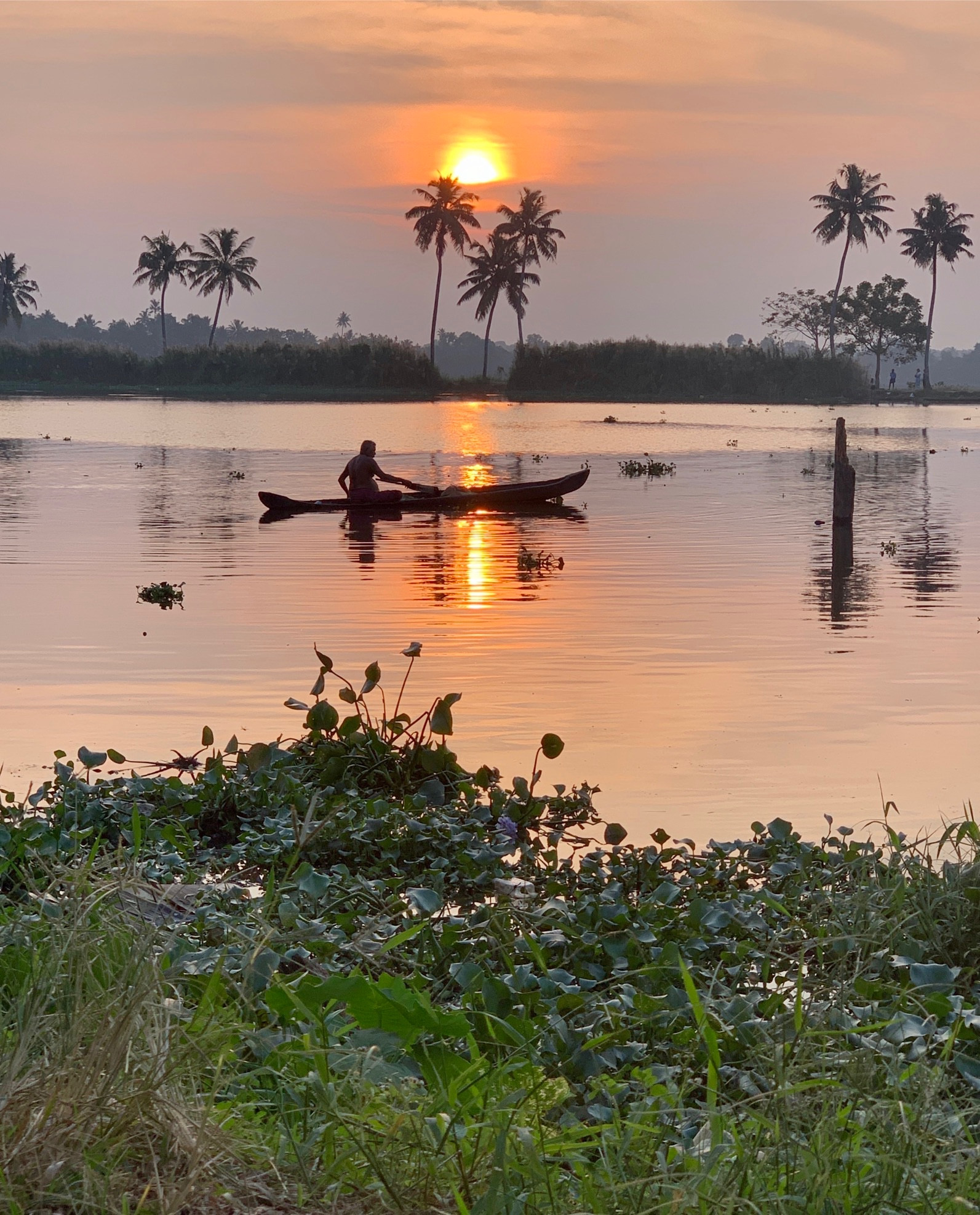 The backwaters of Kerala 