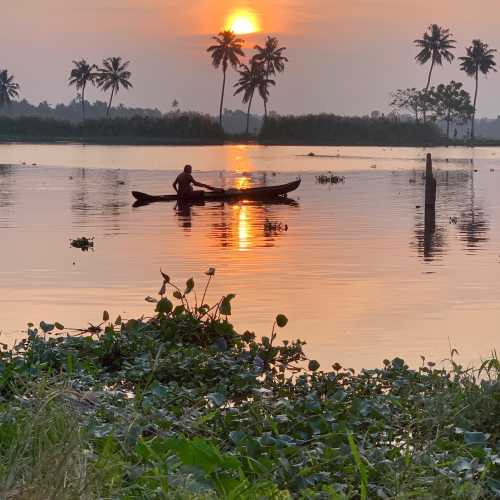 The backwaters of Kerala 