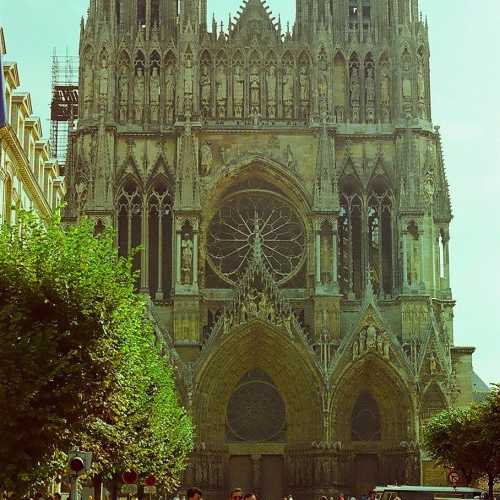 REIMS