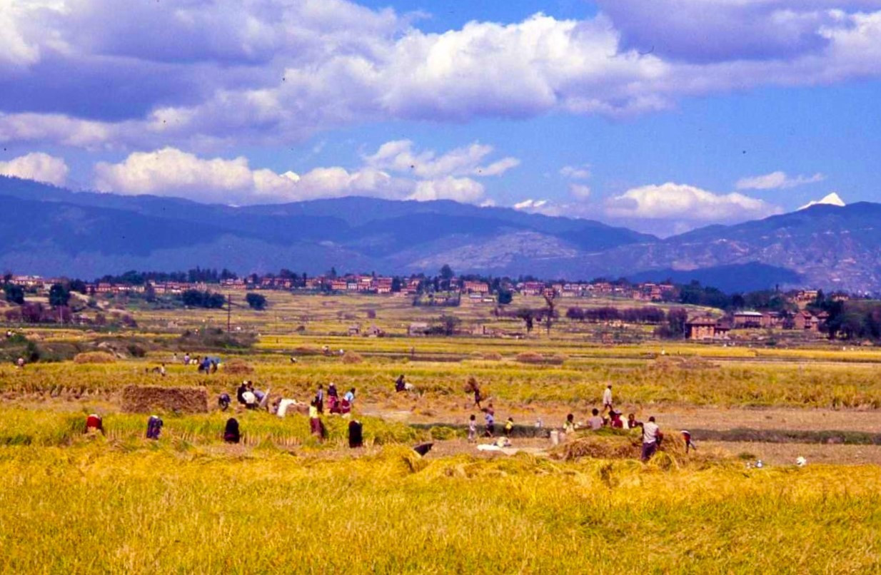 Nepal