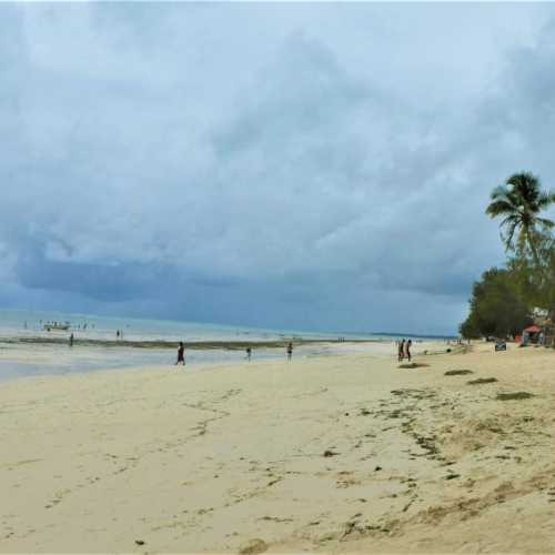 PLAYA (ISLA DE ZANZÍBAR)