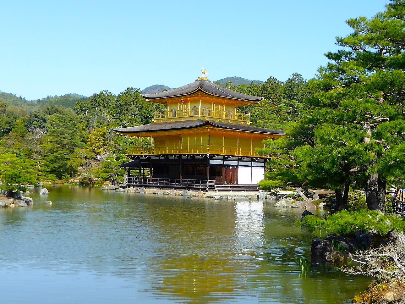 PABELLÓN DE ORO TEMPLO DE KINKAKUJI (KIOTO)