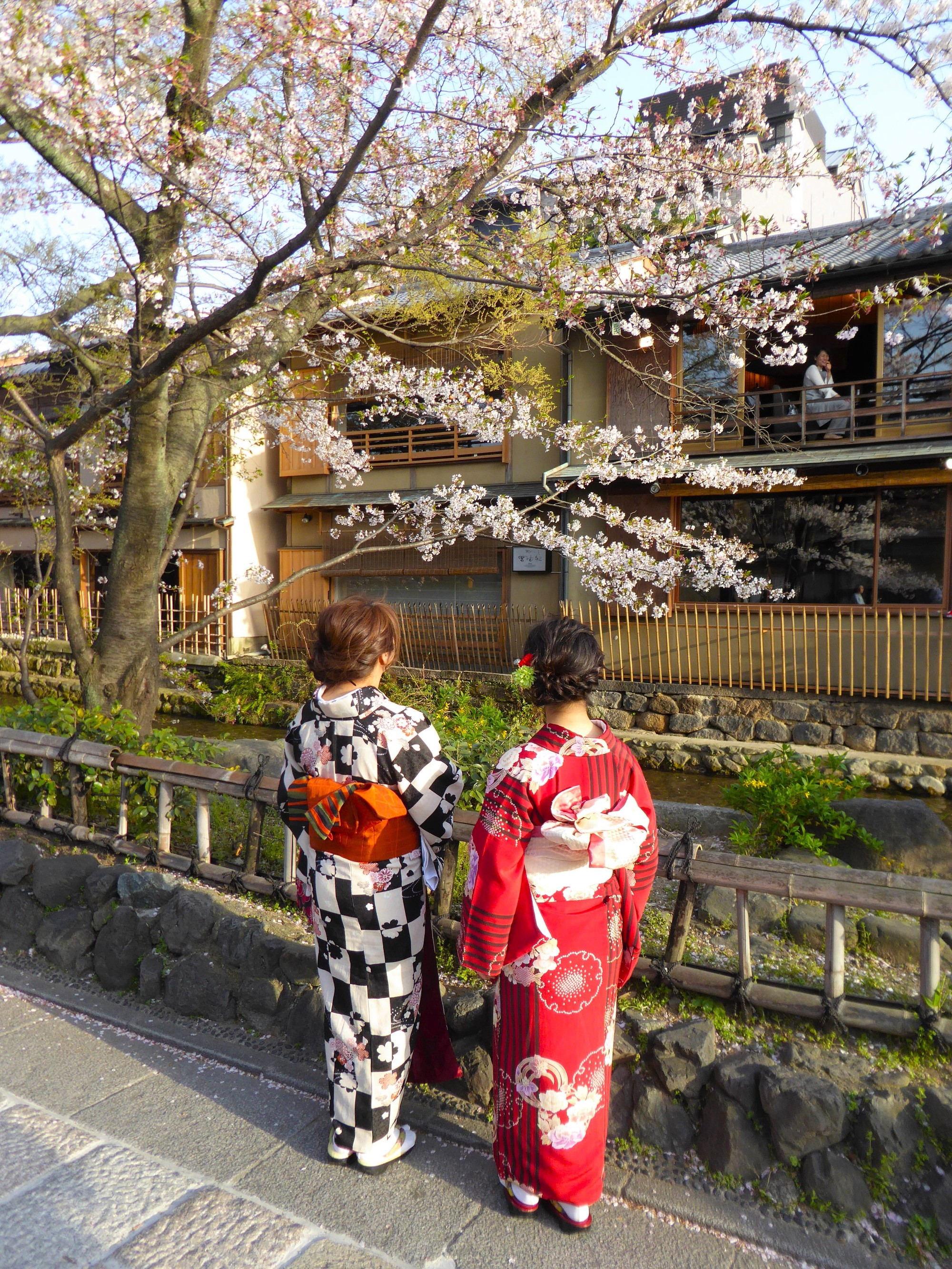 CEREZOS EN FLOR EN EL PASEO DEL FILÓSOFO (KIOTO)