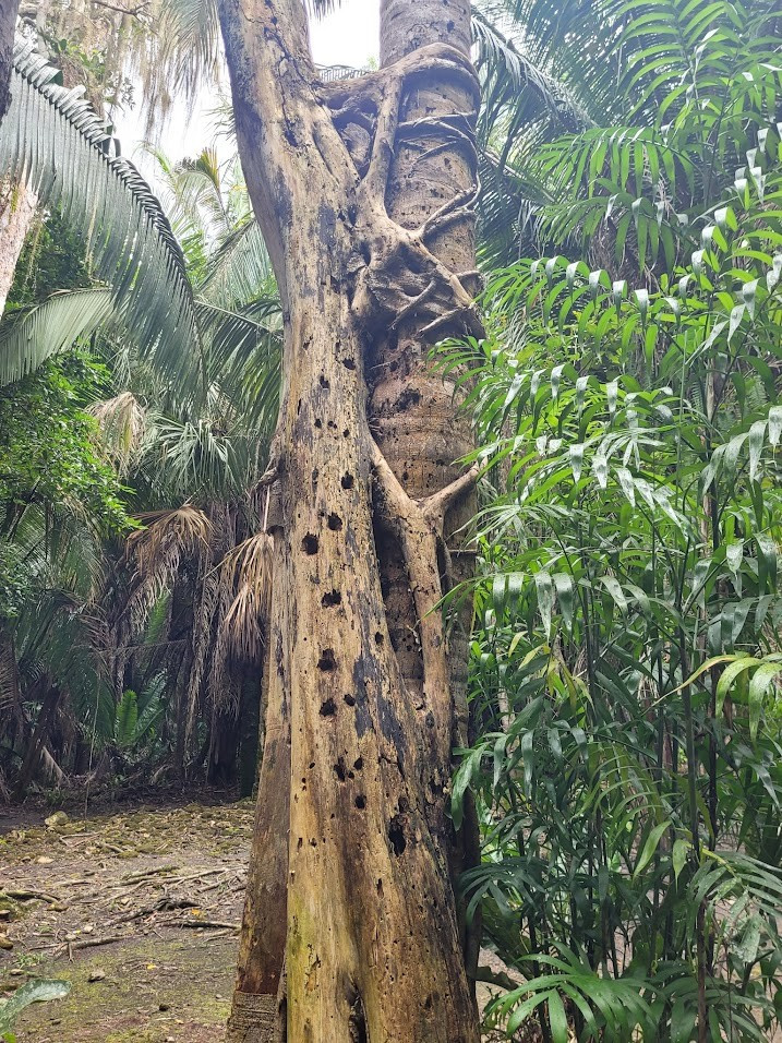 Cozumel, Mexico