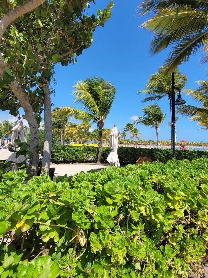 Harvest Caye, Belize