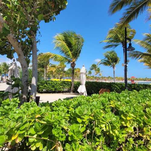 Harvest Caye, Belize