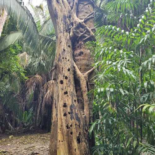 Cozumel, Mexico