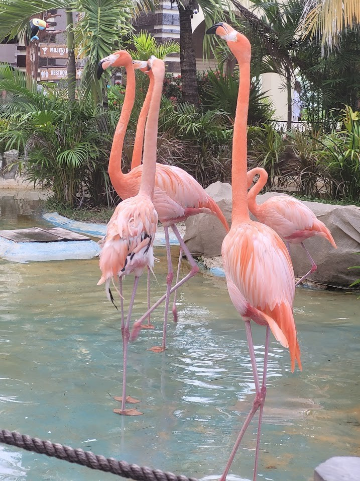 Cozumel, Mexico