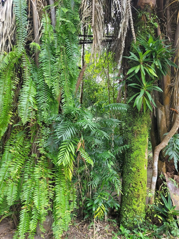 Cozumel, Mexico