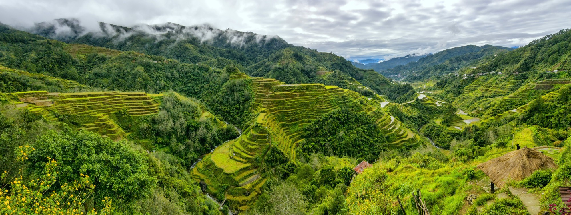Банауэ. Панорама рисовых террас в Филиппинских Кордильерах.