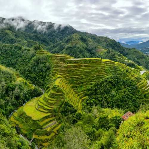 Банауэ. Панорама рисовых террас в Филиппинских Кордильерах.