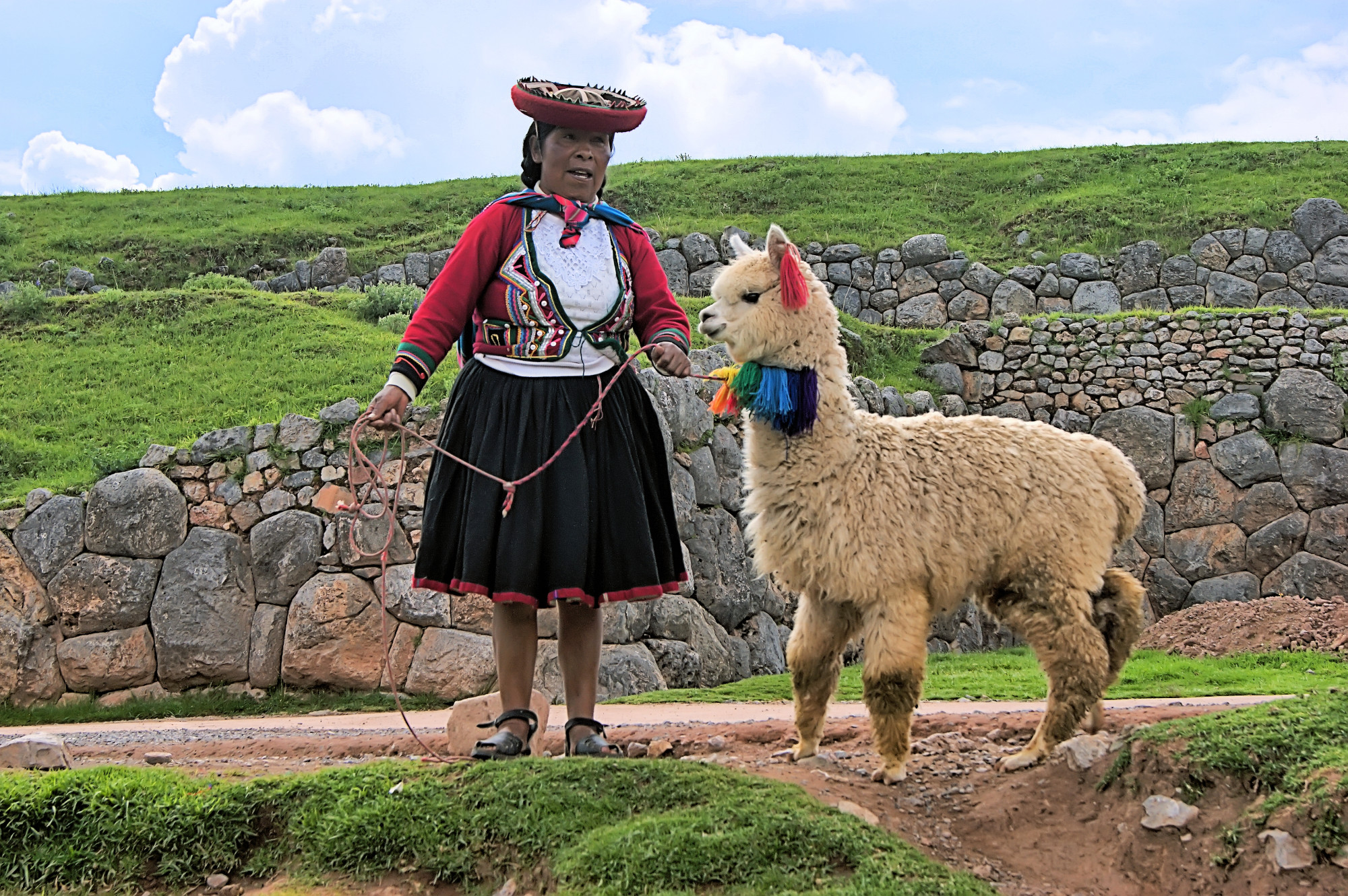 Женщина народа кечуа и альпака уакайа у стен цитадели Саксайуаман.