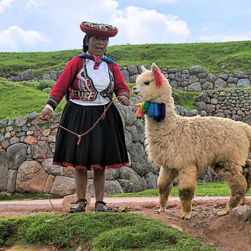 Женщина народа кечуа и альпака уакайа у стен цитадели Саксайуаман.