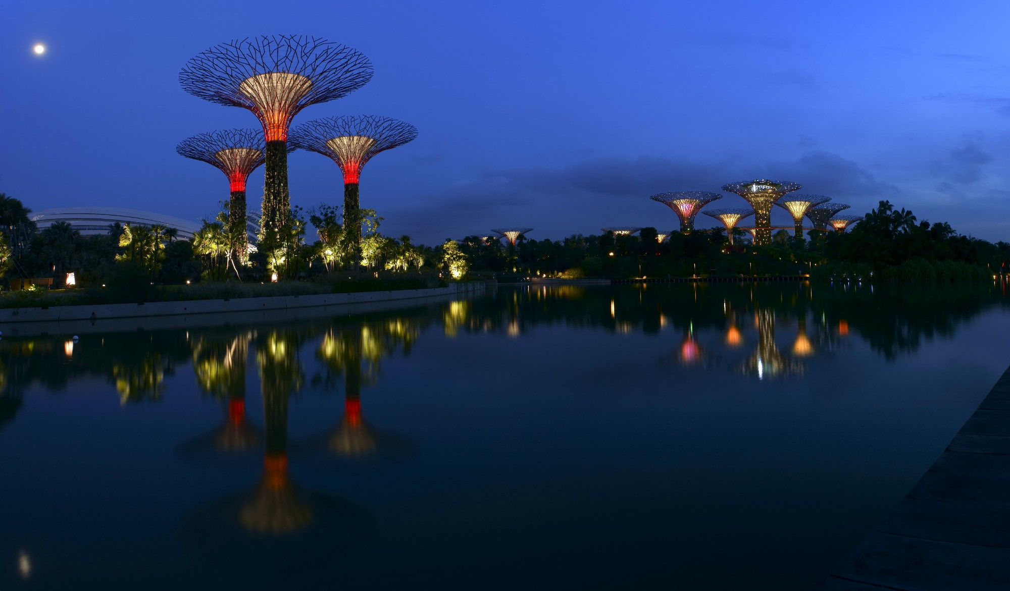 Панорама Садов у бухты.<br/>
«Супердеревья» самого претенциозного сингапурского проекта Gardens by the Bay, открывающегося для посещений частями; презентация Bay South, засаженного «супердеревьями», прошла 29 июня 2012 года. Самый большой из трёх садов — 54 гектара — засажен в том числе гигантскими технодеревьями высотой от 25 до 50 метров. Каждое из них оплетено растительной экзотикой и напичкано фотовольтаическими системами (панелями, перерабатывающими солнечную энергию). Энергии одиннадцати «супердеревьев» достаточно, чтобы полностью освещать все здания этой части набережной, а по ночам светиться разноцветными огнями (шоу называется «Садовой рапсодией»). На стволах и в теплицах в стволах деревьев высажено 162 900 растений 200 видов — в основном разноцветный мох, орхидеи и тропические цветы, полив которых происходит за счет энергии «супердеревьев». Проектировать новые хай-тек-проекты, полностью обеспечивающие себя энергией, с некоторых пор стало в архитектуре правилом хорошего тона. Другие биомимикрические функции проекта: сбор дождевой воды для ирригации садов и фонтанов и охлаждение с помощью системы пассивной вентиляции.