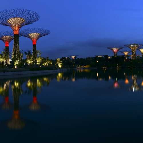 Сады у Залива, Сингапур