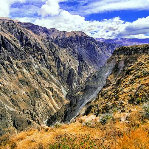 Colca Canyon, Peru