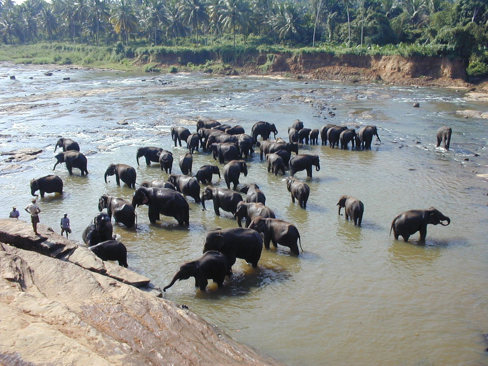 Sri Lanka