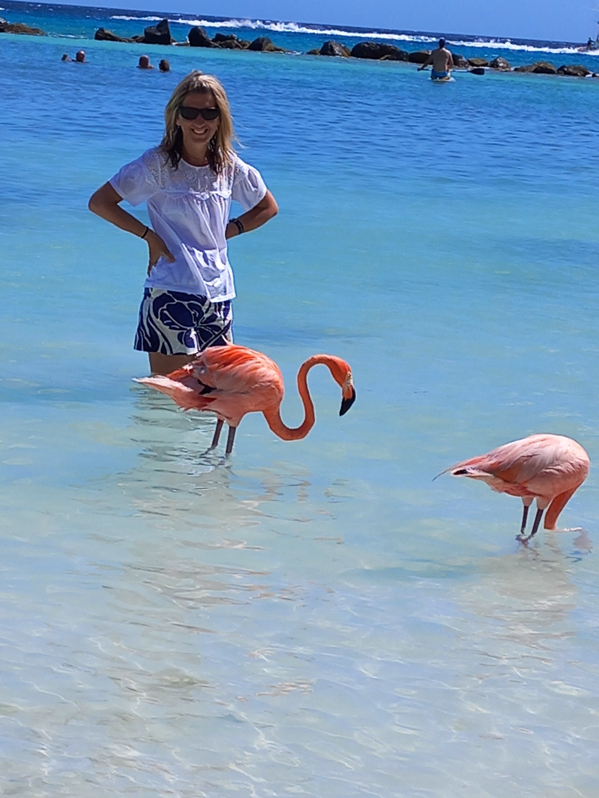 Flamingo beach, Renaissance Island