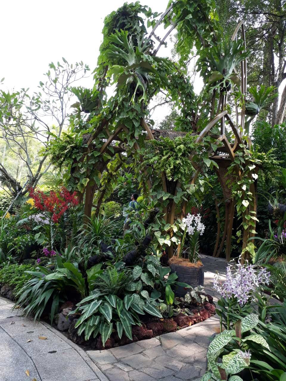 Singapore Botanic Gardens, Сингапур