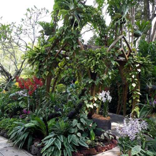 Singapore Botanic Gardens, Сингапур
