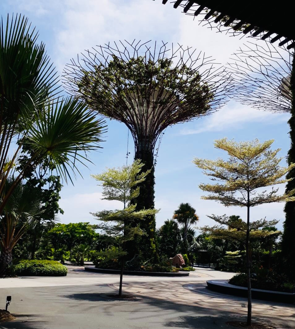 Gardens by the Bay, Сингапур