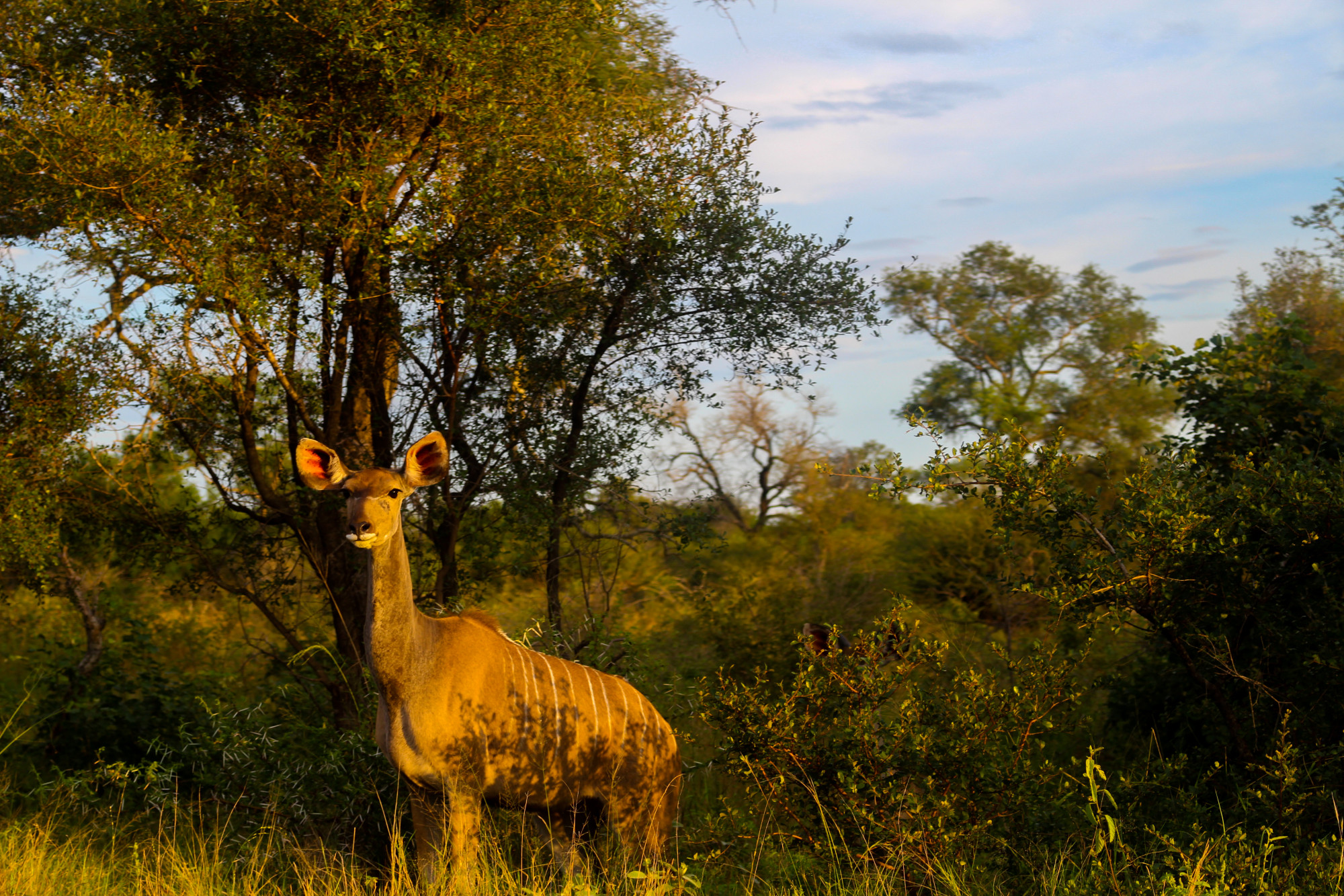 South Africa