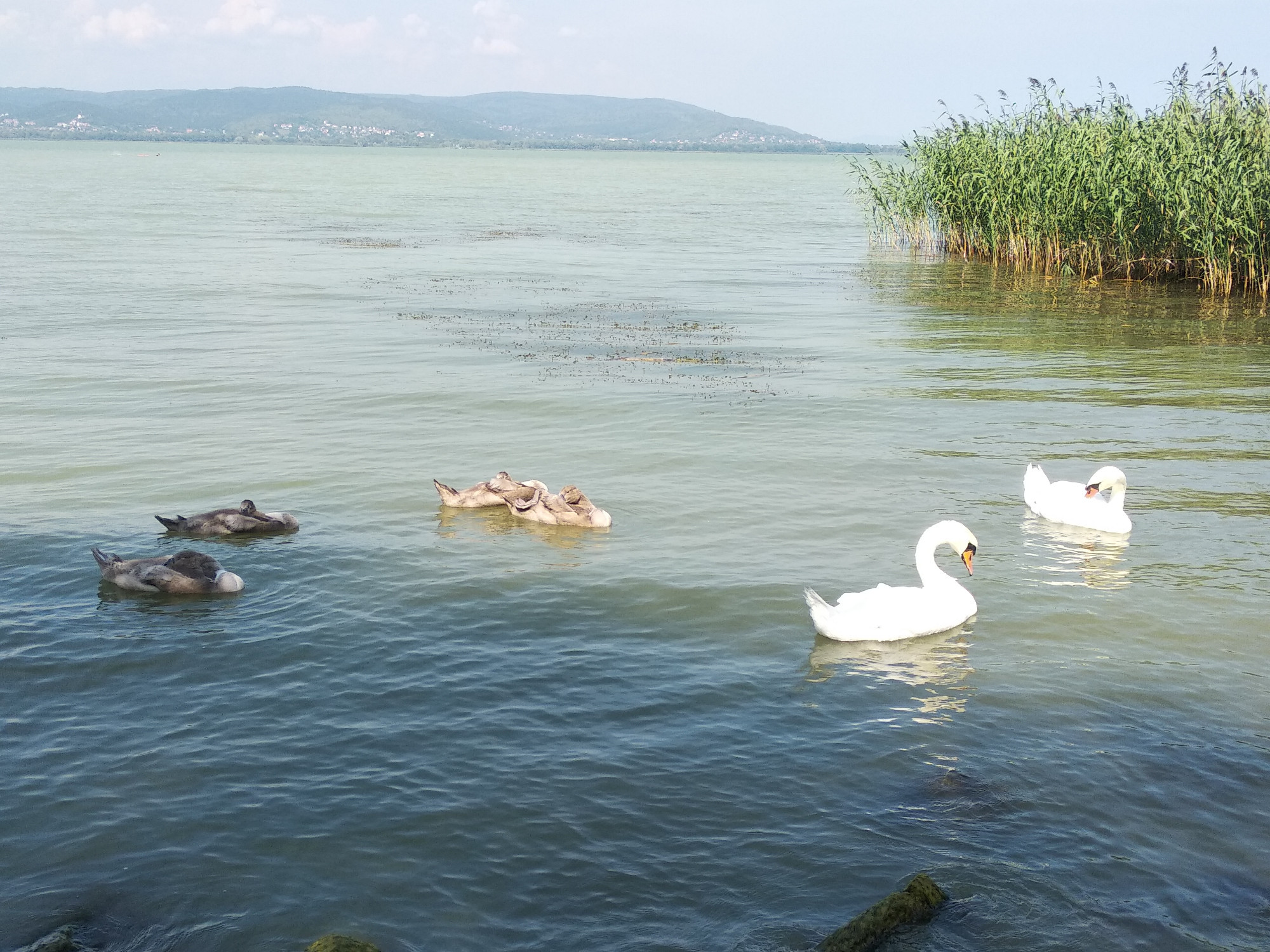 Hungary