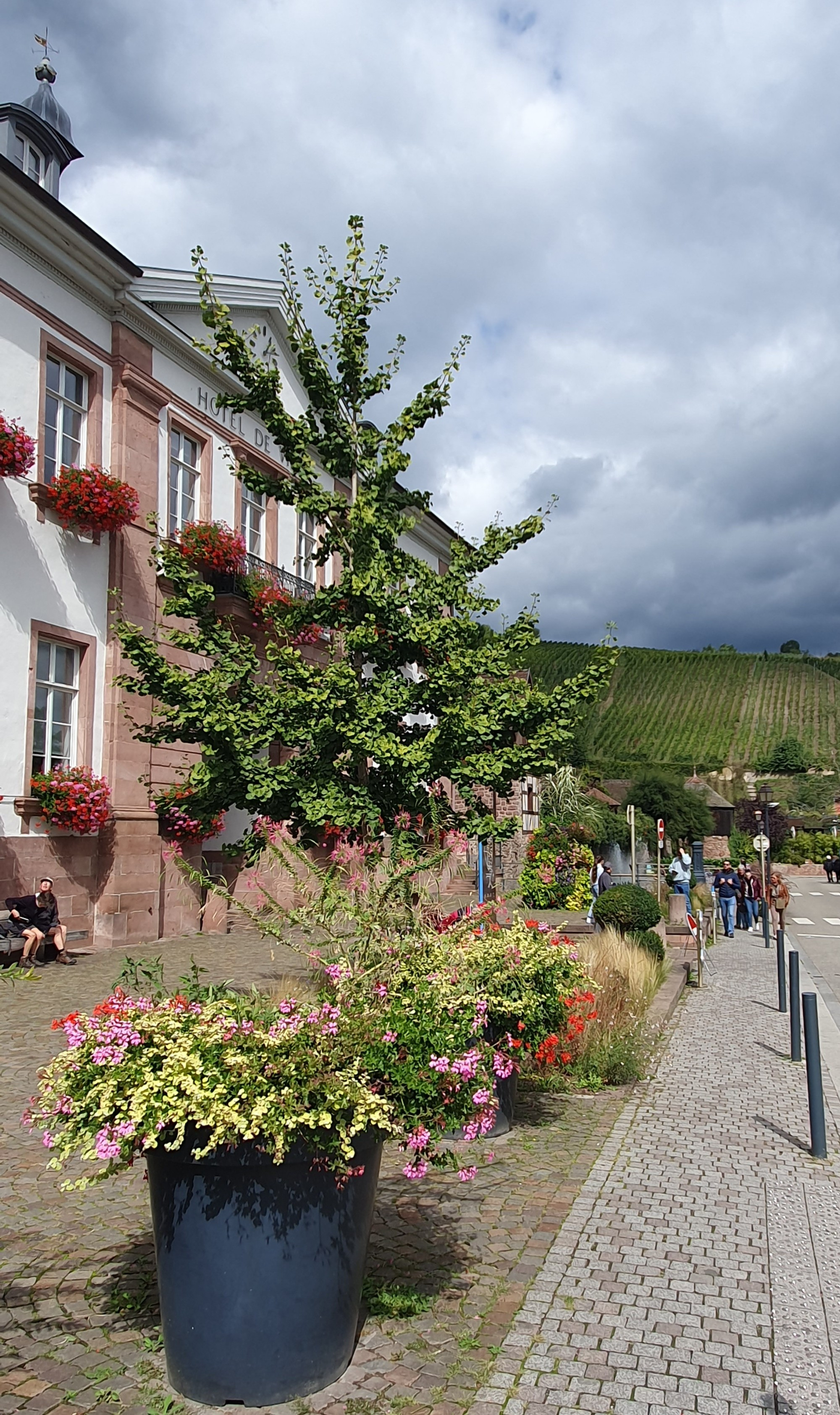 Riquewihr, France