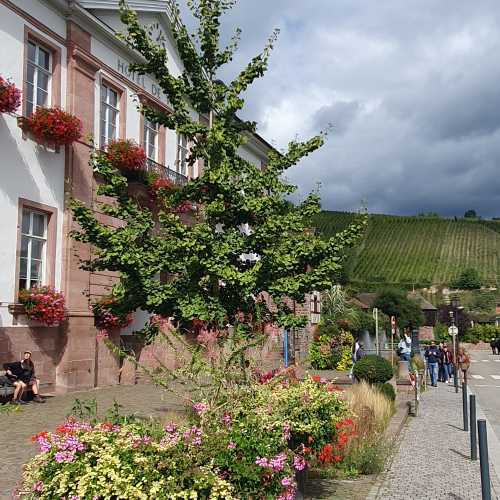 Riquewihr, France