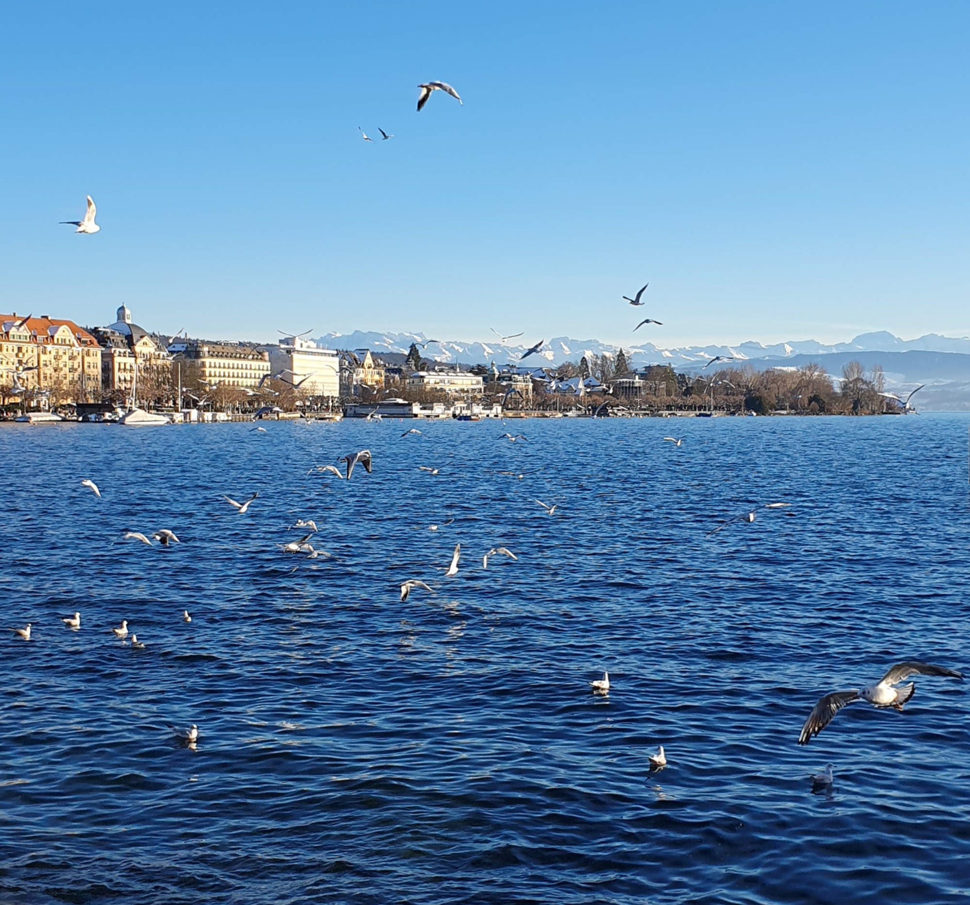 Zürich, Switzerland