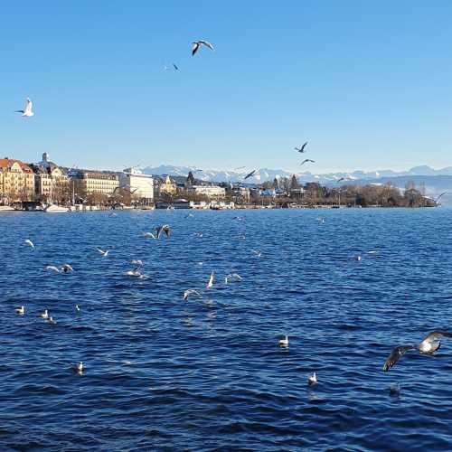 Zürich, Switzerland