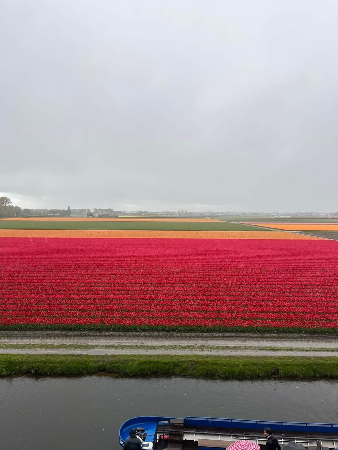 Keukenhof, Netherlands