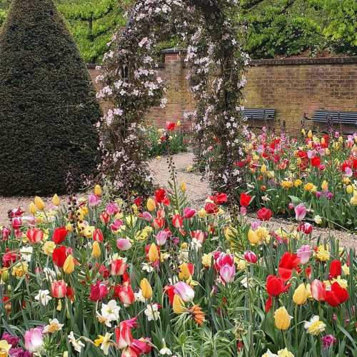 Keukenhof, Netherlands