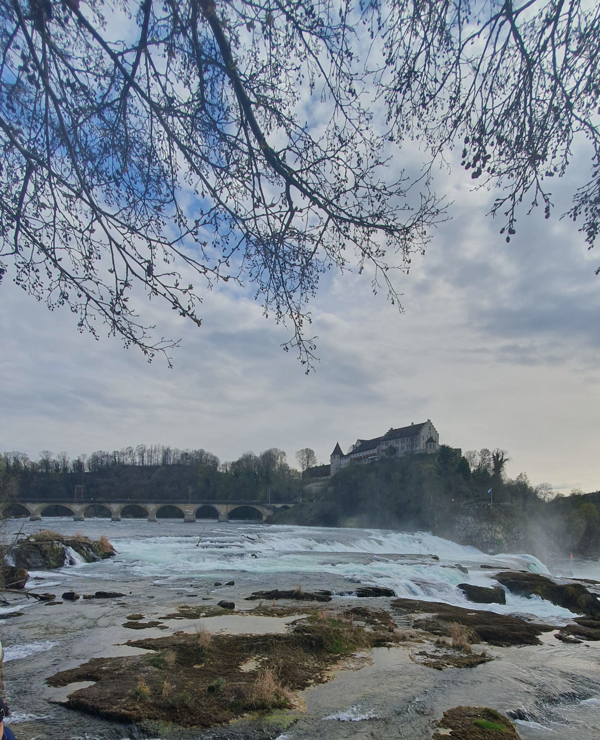 Rhine Falls, Switzerland