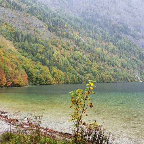 Saint Bartholomew, Germany