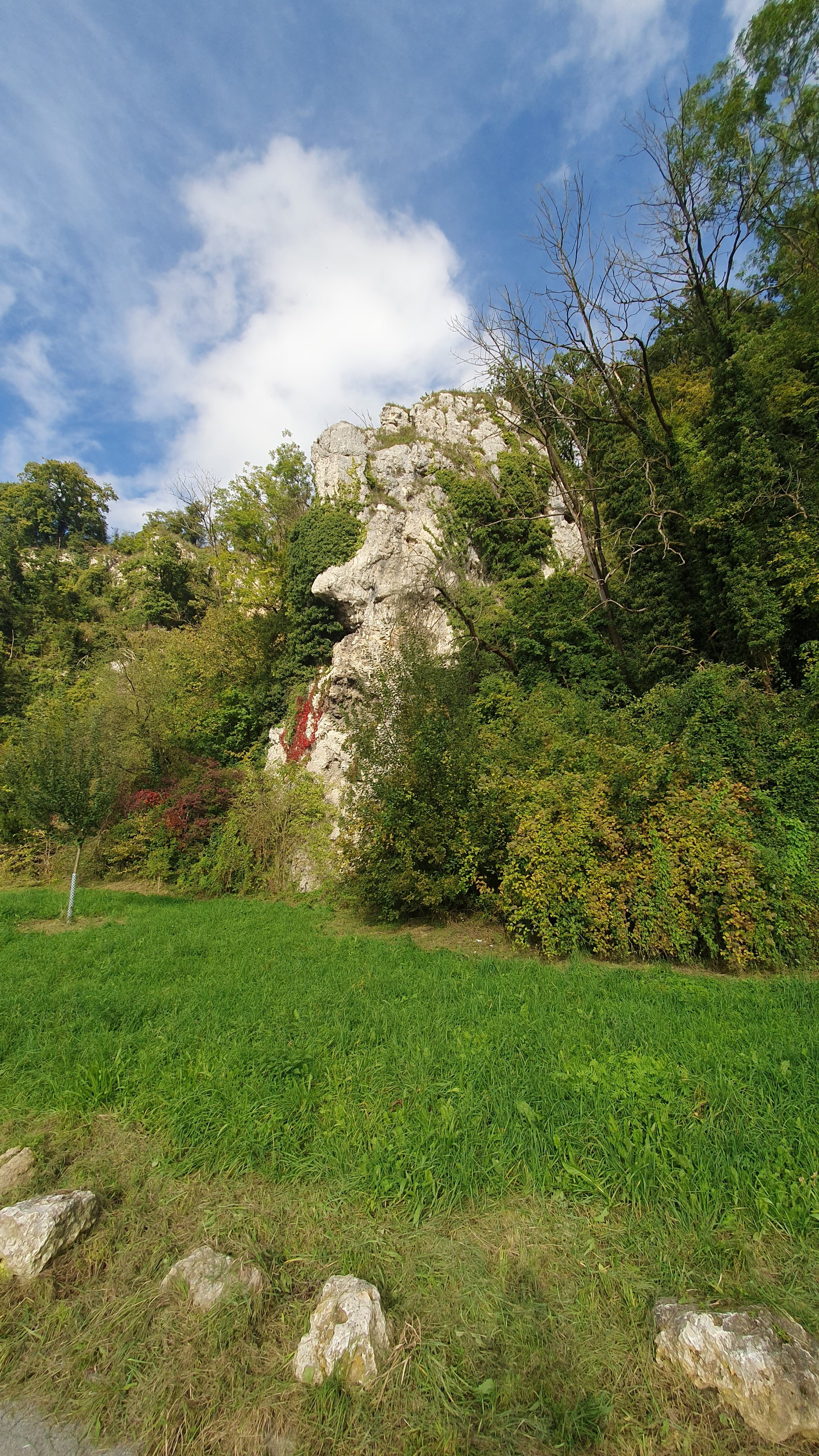 Donaudurchbruch, Германия