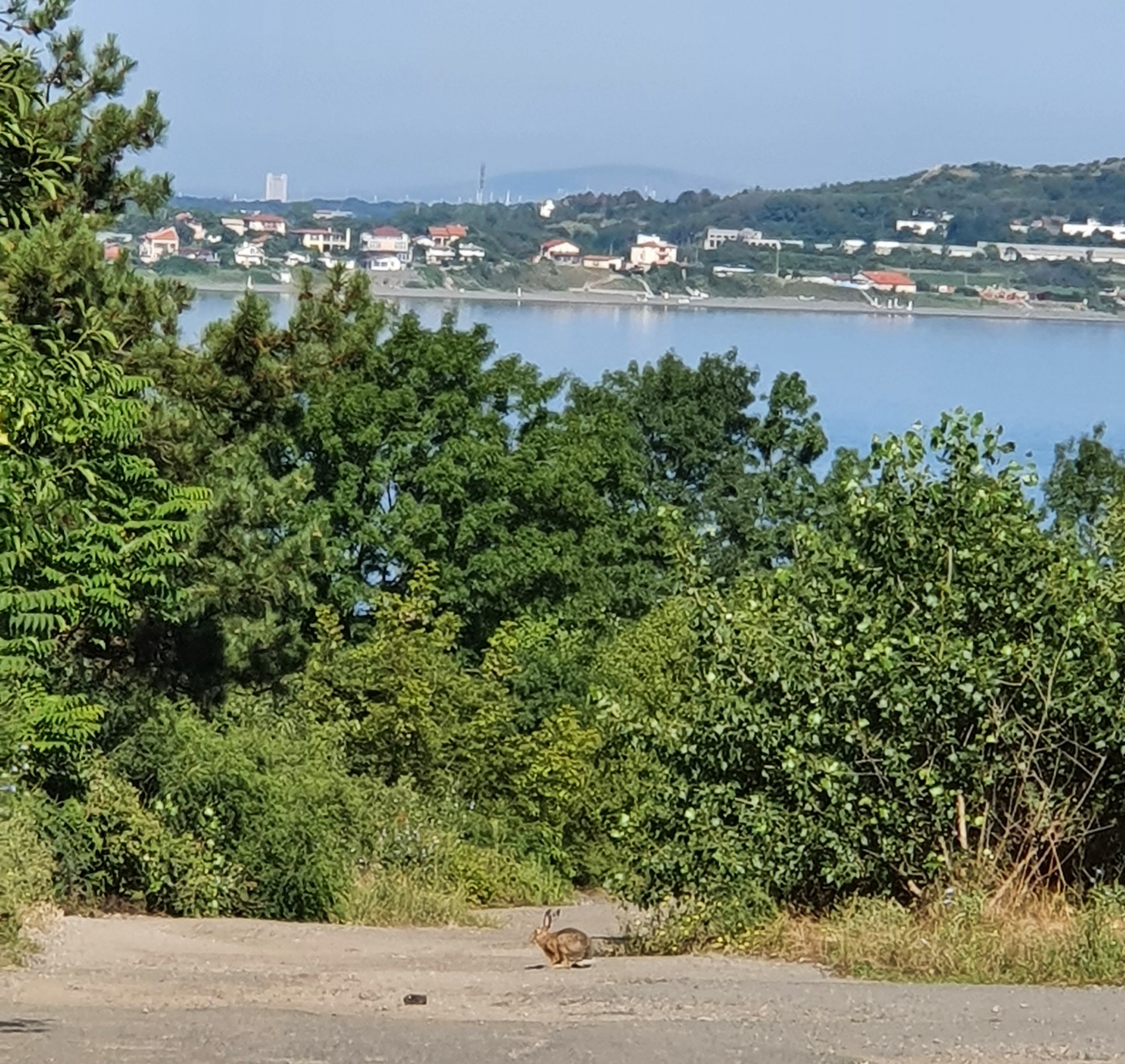 Chernomorets, Bulgaria