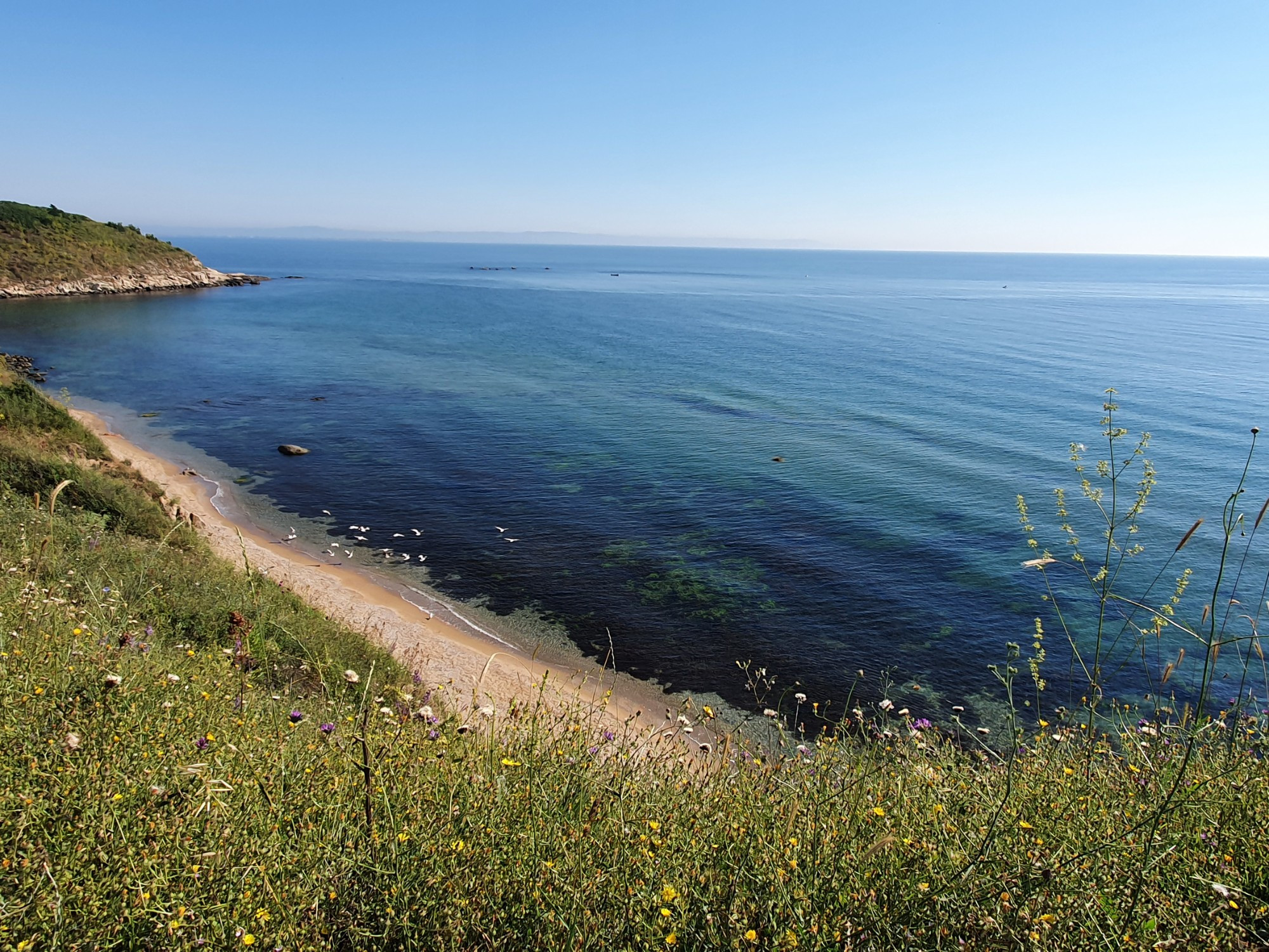 Chernomorets, Bulgaria