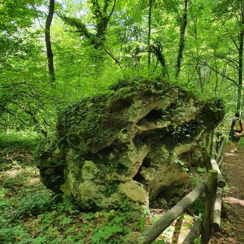 Етрополе, Болгария