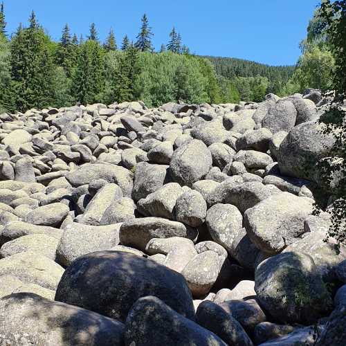 Vitosha Mountain