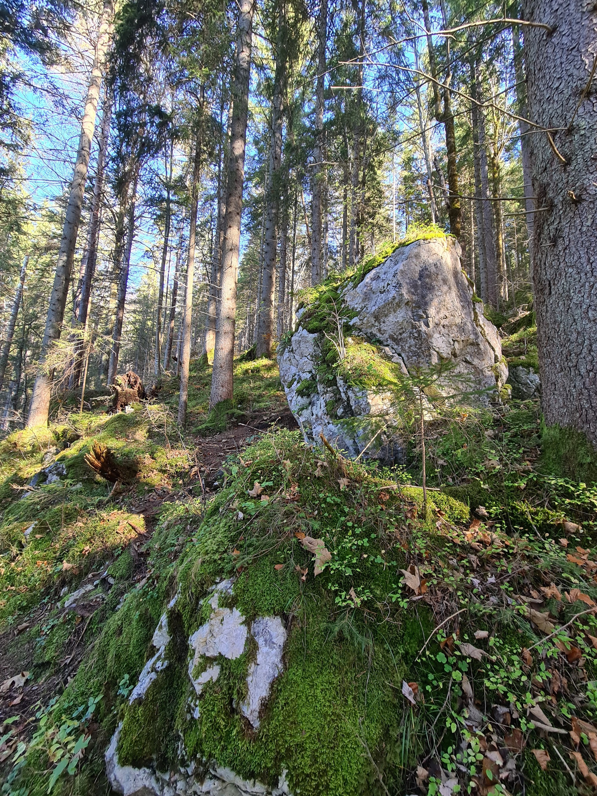 Eibsee, Germany