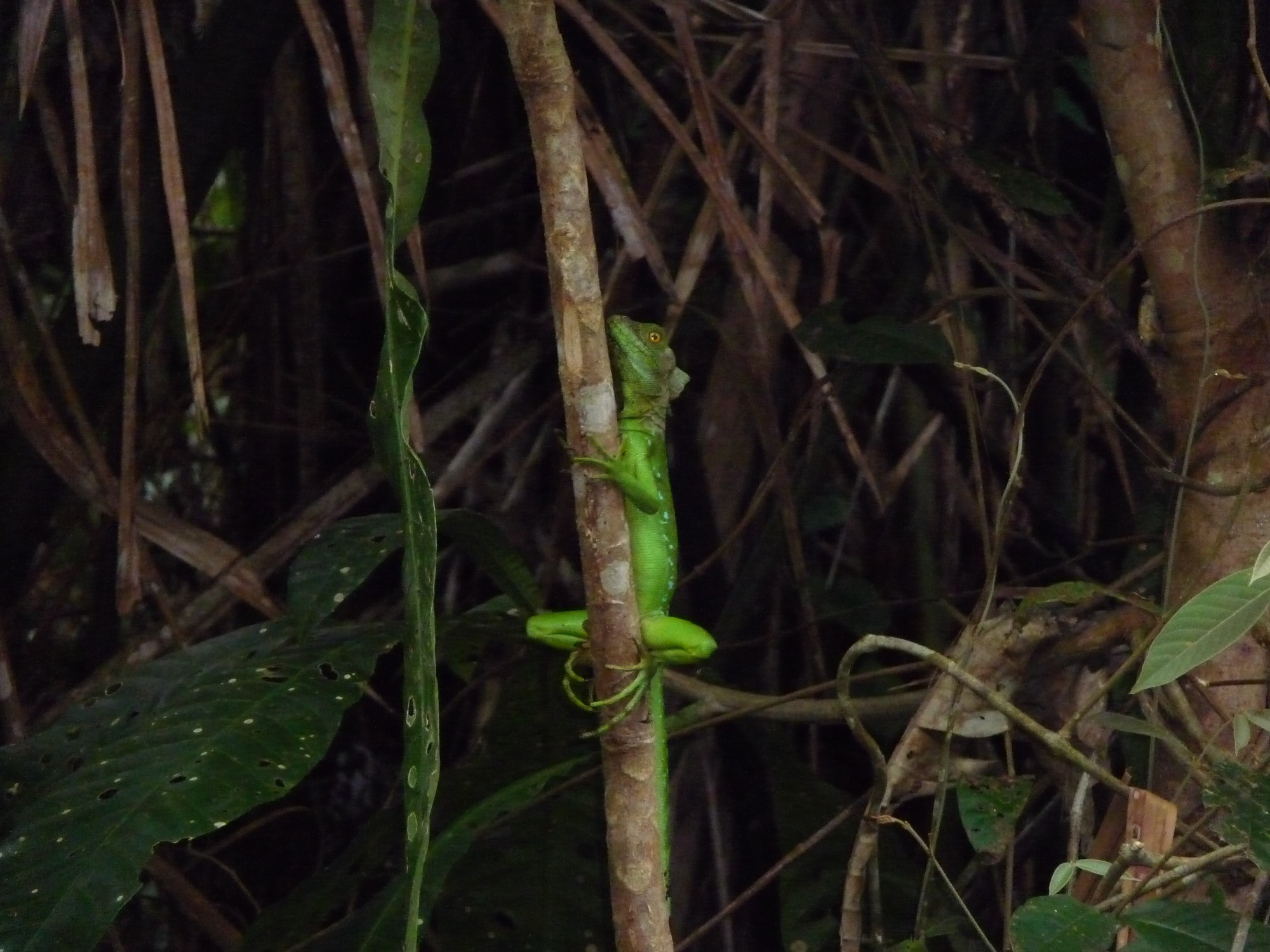 Costa Rica